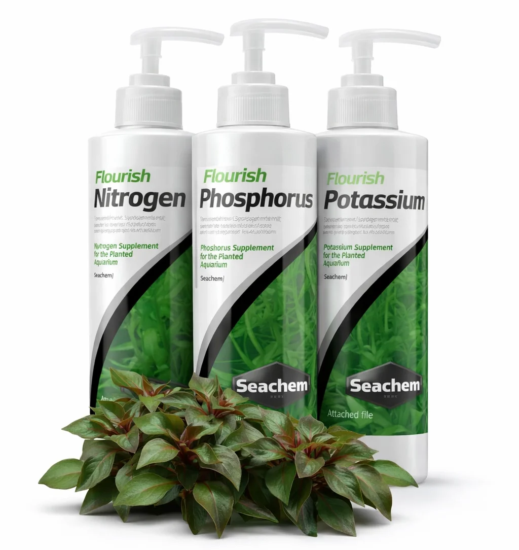 Phone with notification